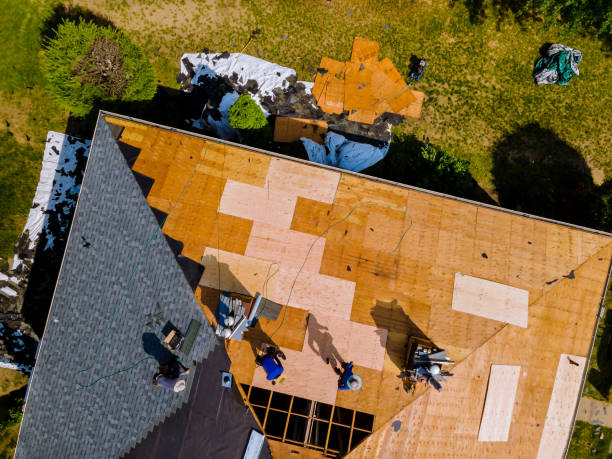 Best Roof Repair Services  in Darien, WI